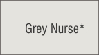 Grey Nurse